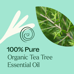 Advertisement for 100% Pure Organic Tea Tree Essential Oil with a green background and tea tree branch inset.