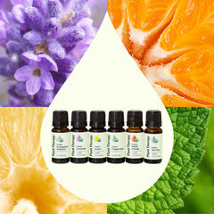 Set of essential oil bottles with natural elements like lavender, orange, and mint in the background.