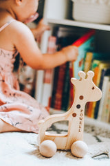 Giraffe Push Toy
