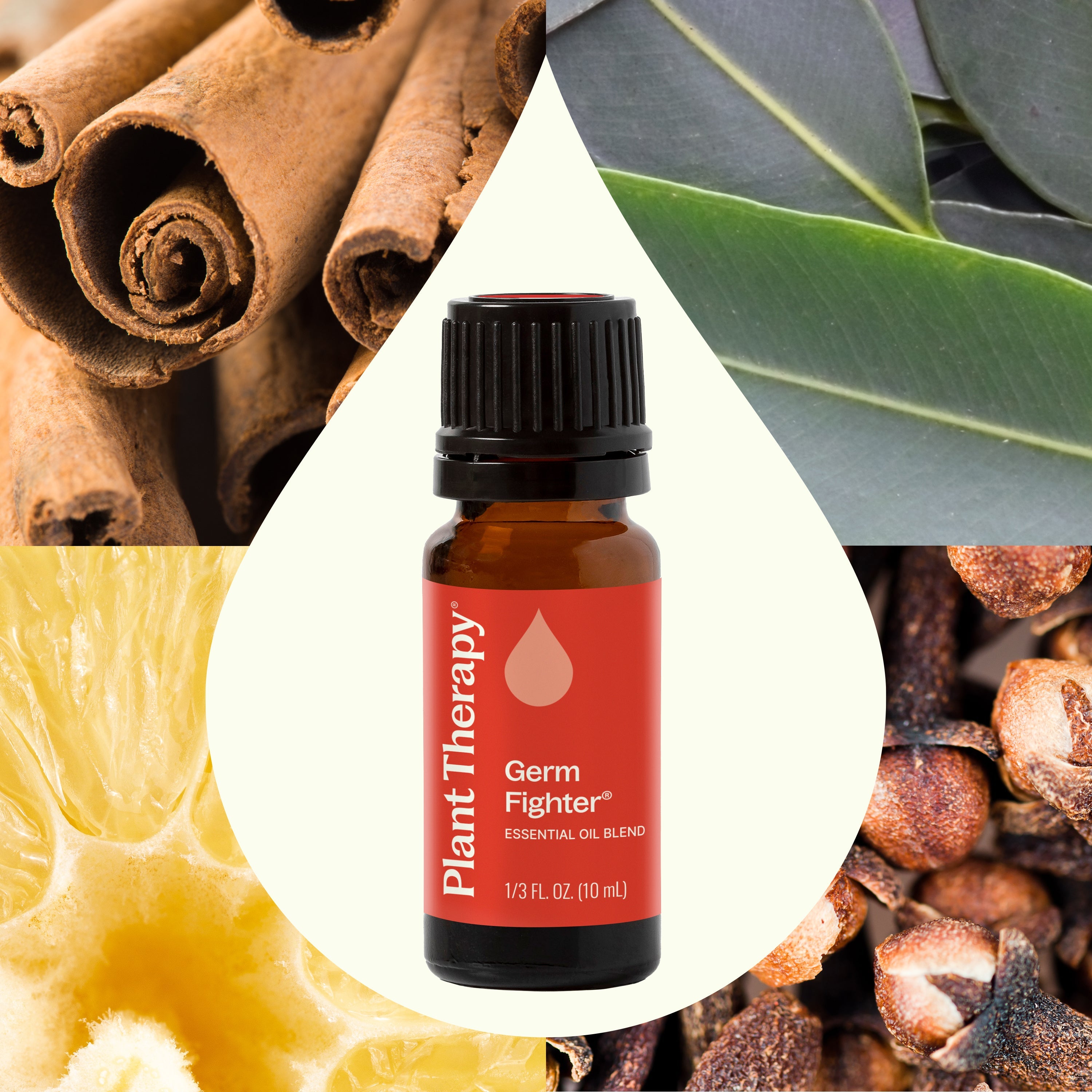 Essential oil bottle labeled 'Germ Fighter' surrounded by cinnamon sticks, lemon slices, and leaves.