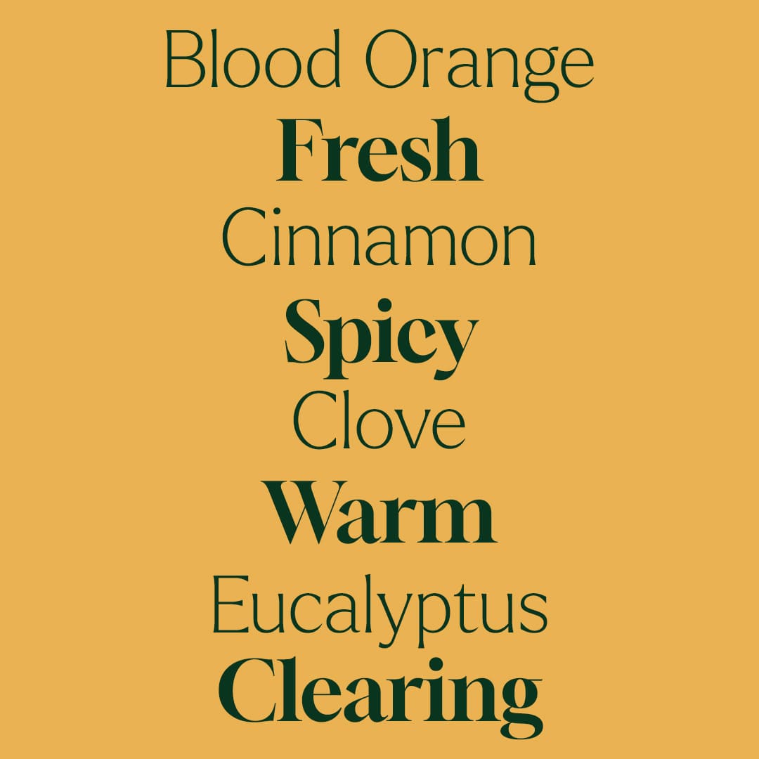 Text on a yellow background describing the scent of Blood Orange, Fresh Cinnamon, Spicy Clove, Warm Eucalyptus, and Clearing.