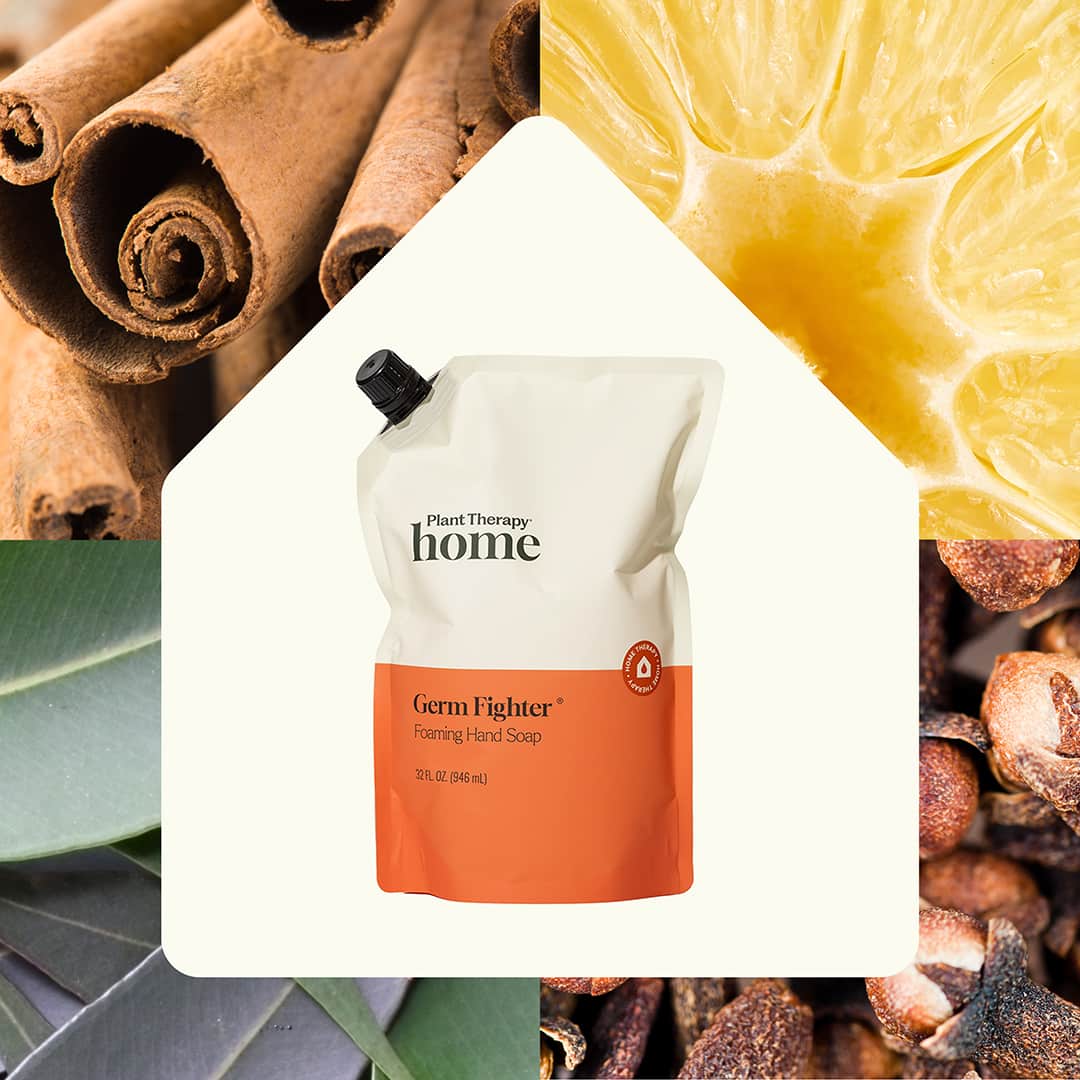 Plant Therapy Germ Fighter hand soap packaging surrounded by cinnamon sticks, a pineapple slice, and eucalyptus leaves.