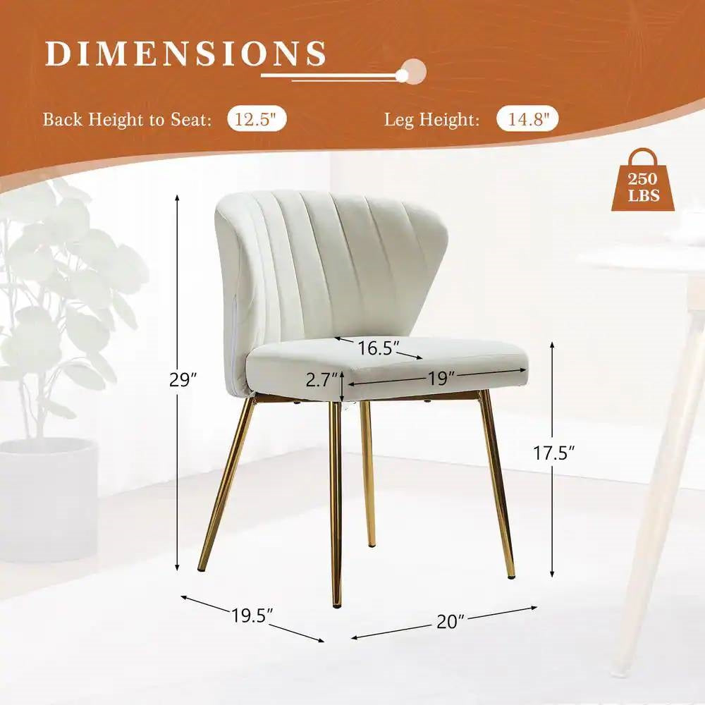 White chair with gold legs and dimensions displayed on a white background