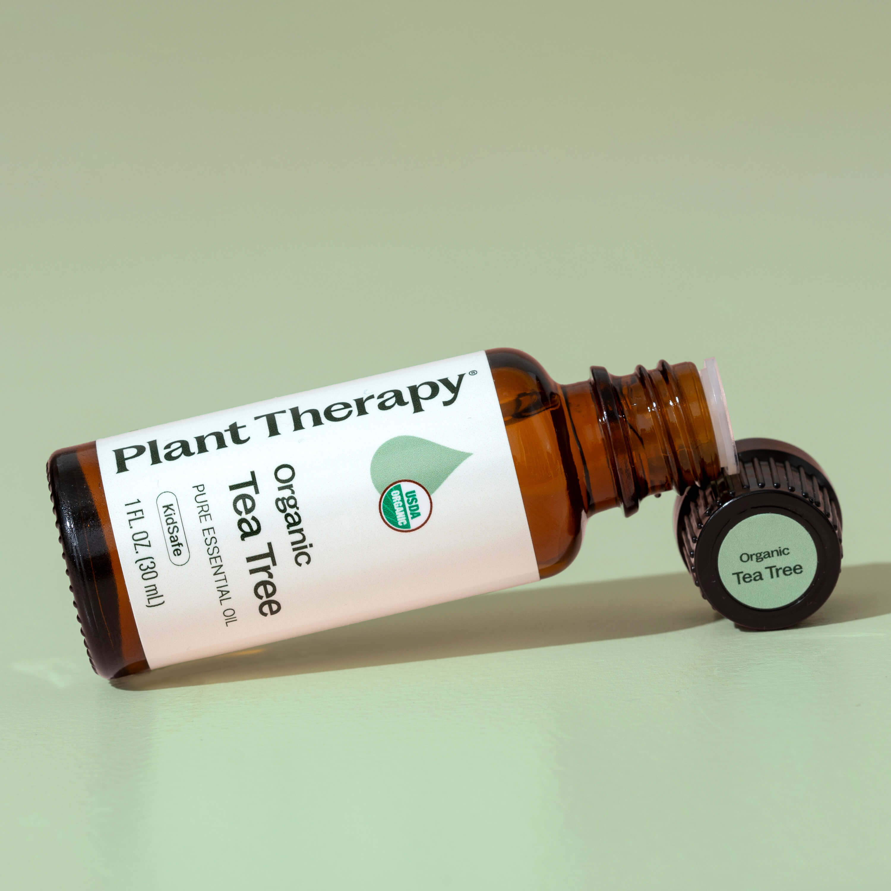 Brown bottle of Plant Therapy Organic Tea Tree essential oil on a light green background
