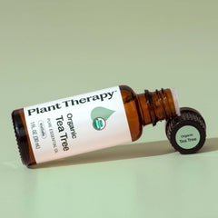 Brown bottle of Plant Therapy Organic Tea Tree essential oil on a light green background