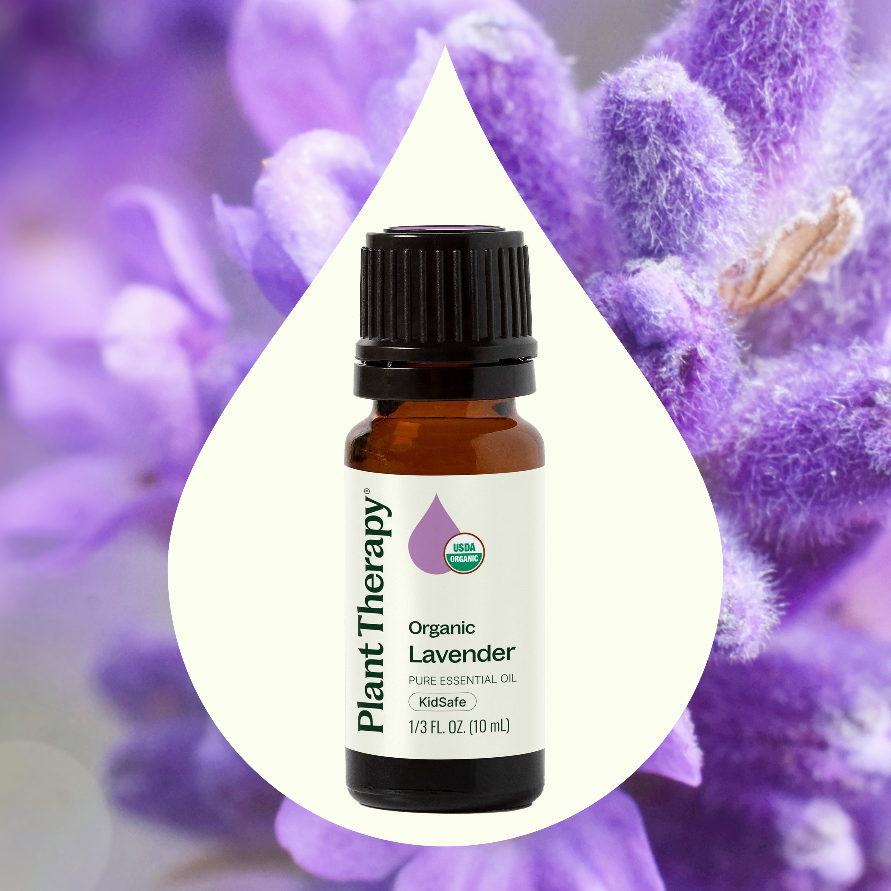 Bottle of Plant Therapy Organic Lavender essential oil with lavender flowers in the background
