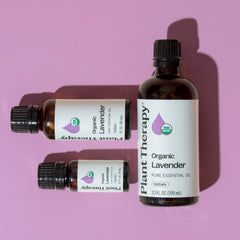 Three bottles of Plant Therapy Organic Lavender essential oil on a pink background
