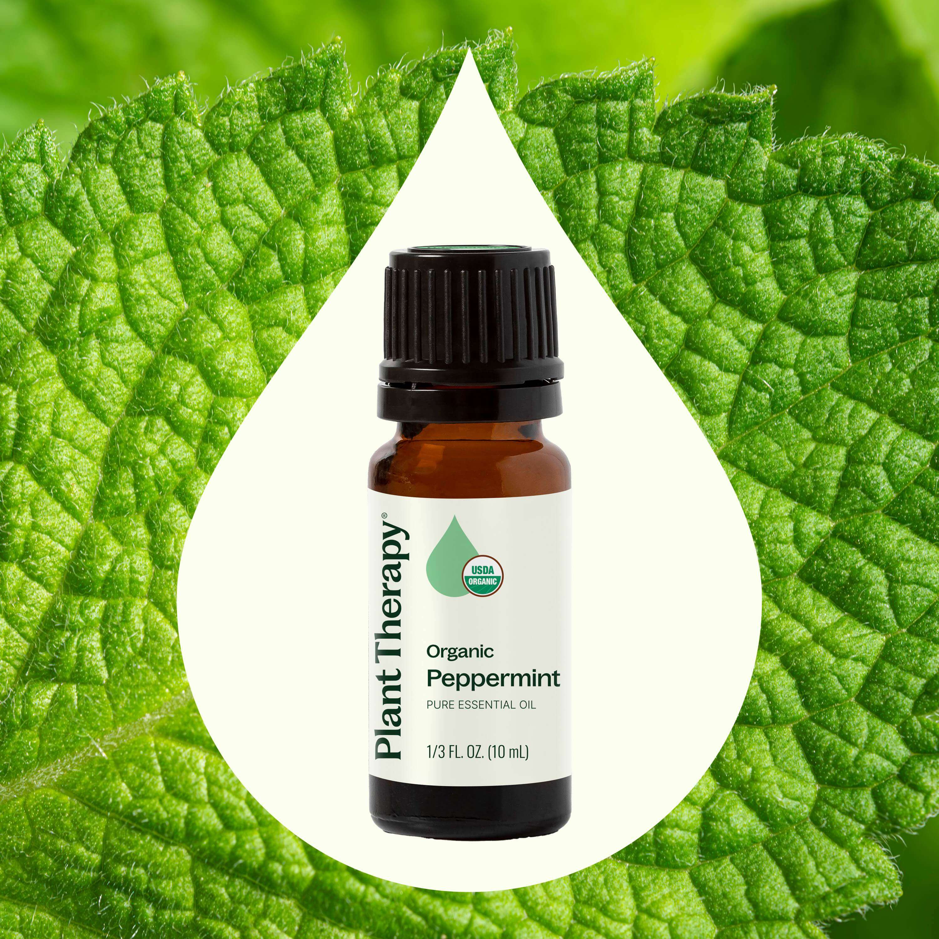 Bottle of Plant Therapy Organic Peppermint essential oil on a green leaf background