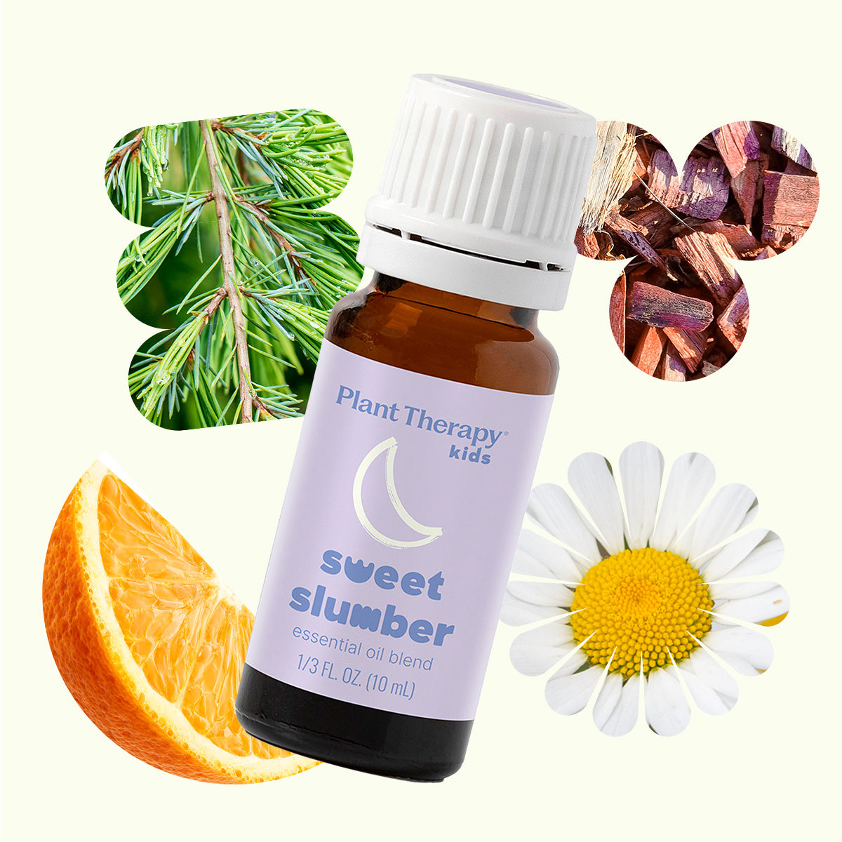 Bottle of Plant Therapy Kids Sweet Slumber essential oil blend with botanical elements on a white background