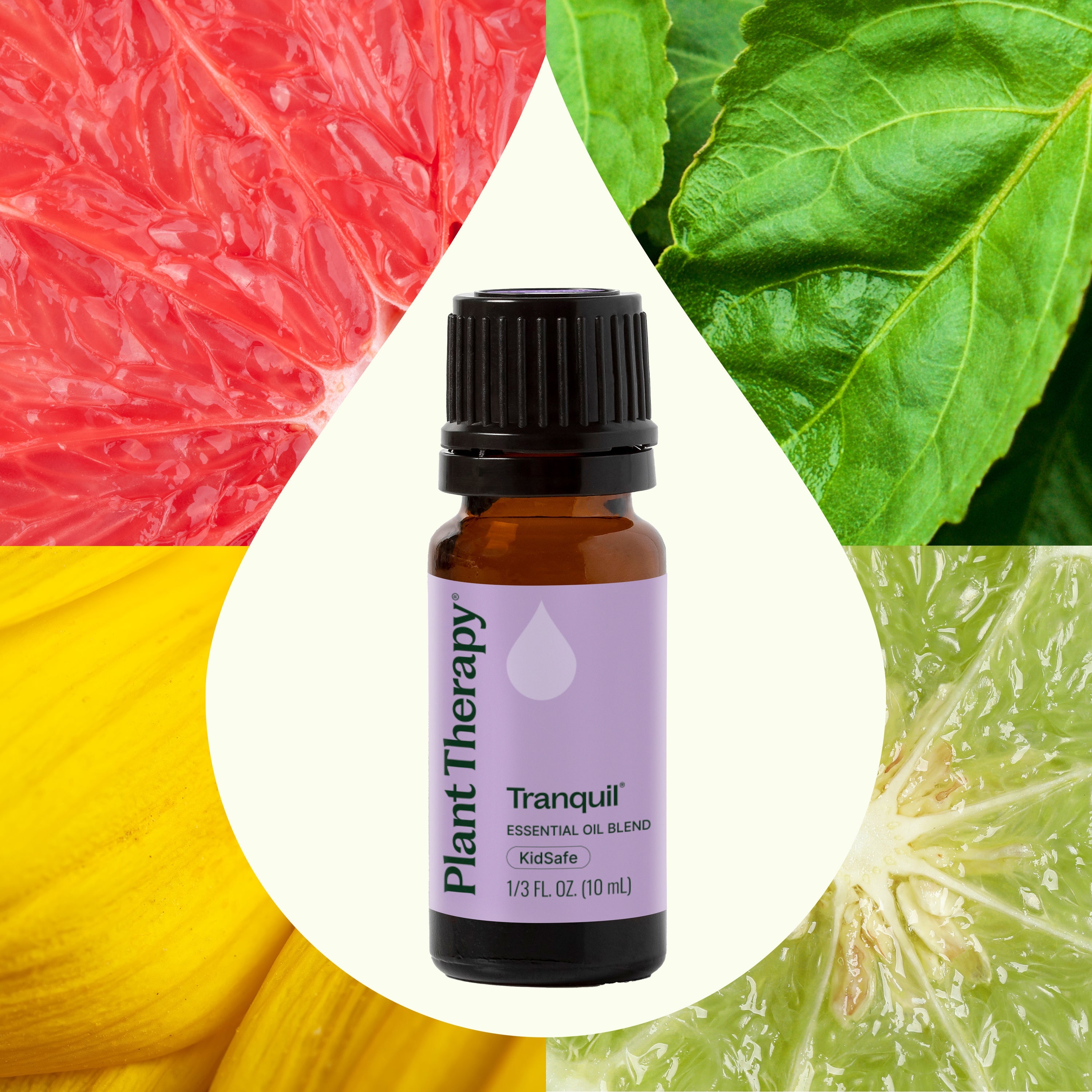 Bottle of Plant Therapy Tranquil essential oil blend with colorful background