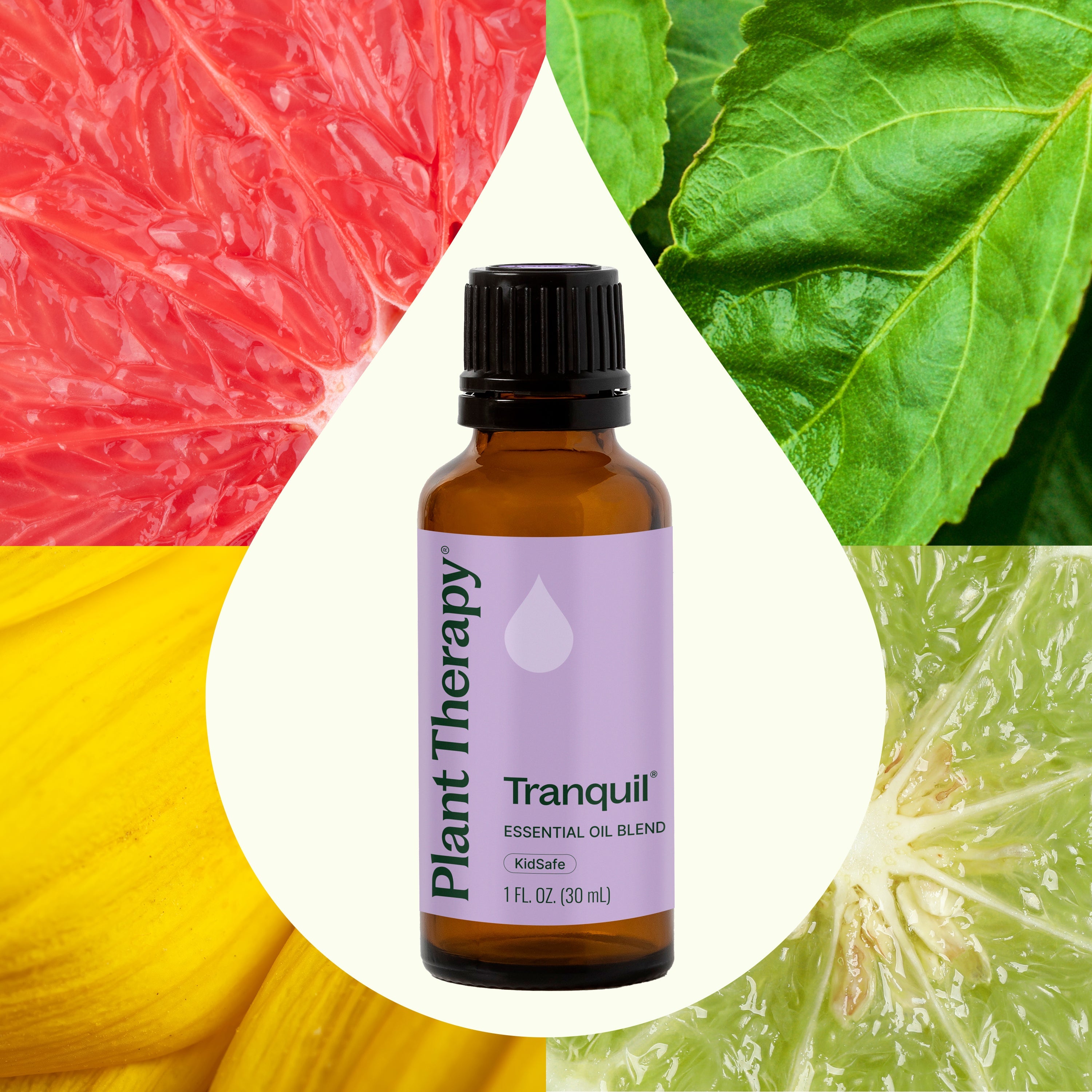 Bottle of Plant Therapy Tranquil essential oil blend with colorful abstract background