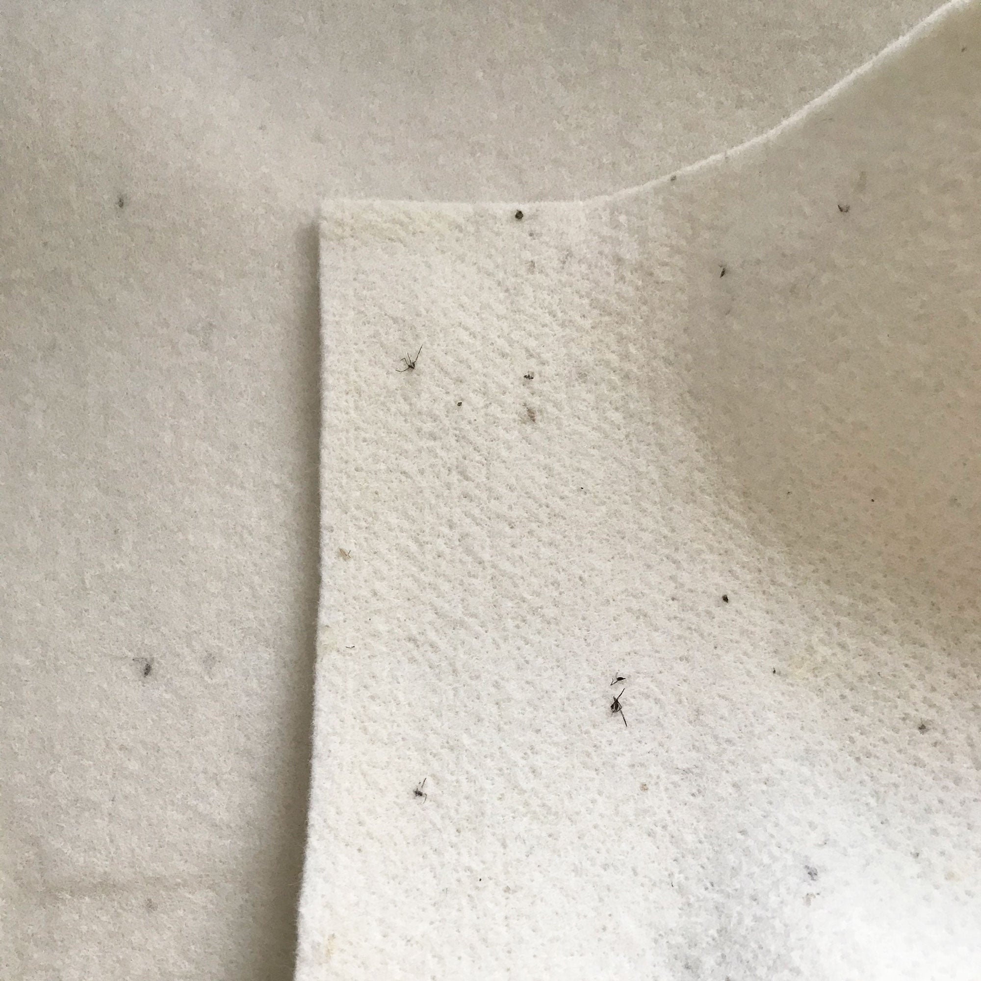 Close-up of a textured beige fabric surface