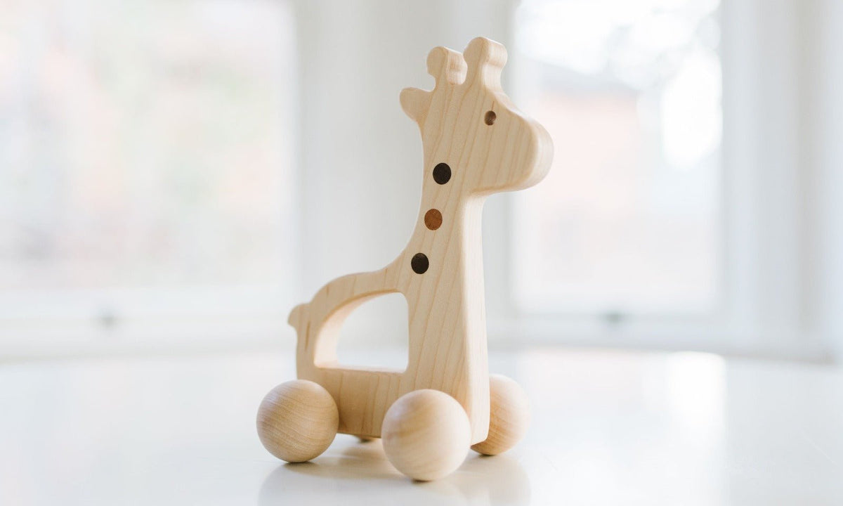 Giraffe Push Toy