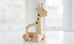 Giraffe Push Toy