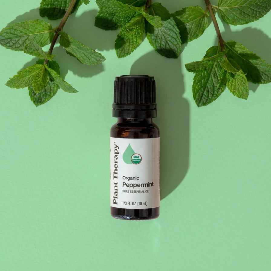Bottle of Plant Therapy Organic Peppermint essential oil with mint leaves on a green background