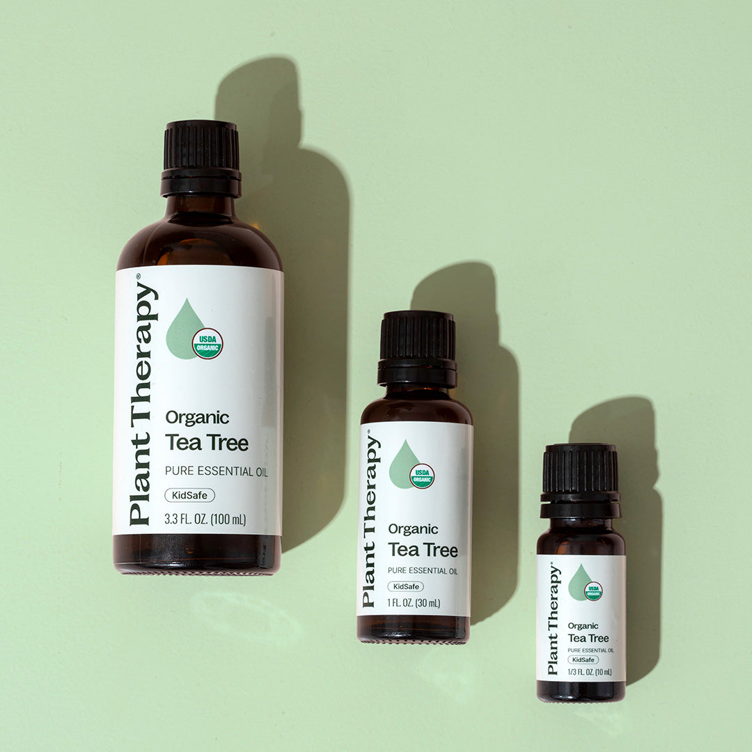 Three bottles of Plant Therapy Organic Tea Tree essential oil on a light green background