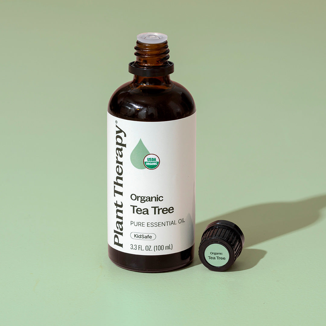 Bottle of Plant Therapy Organic Tea Tree pure essential oil on a light green background