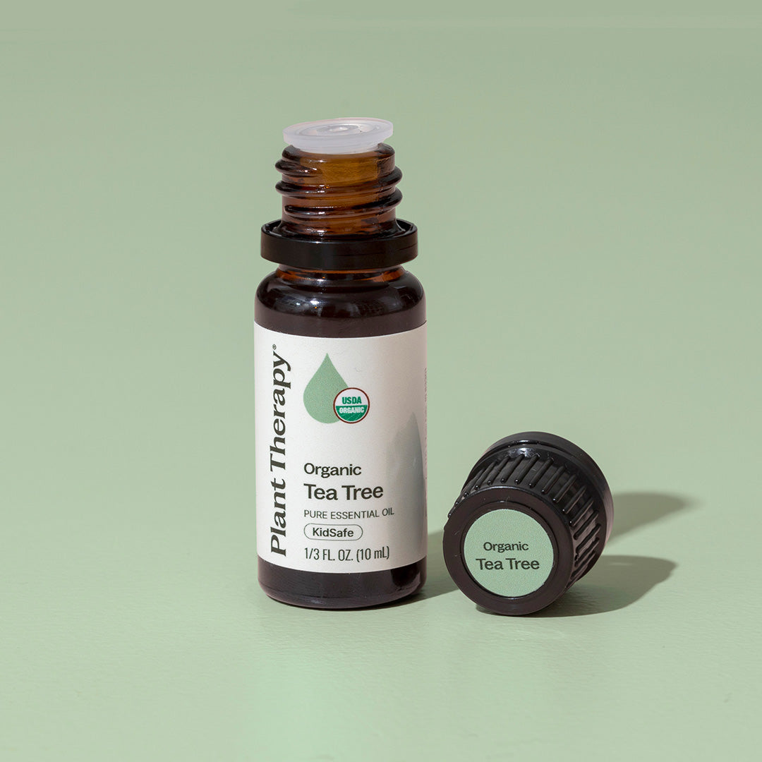 Bottle of Plant Therapy Organic Tea Tree essential oil on a green background