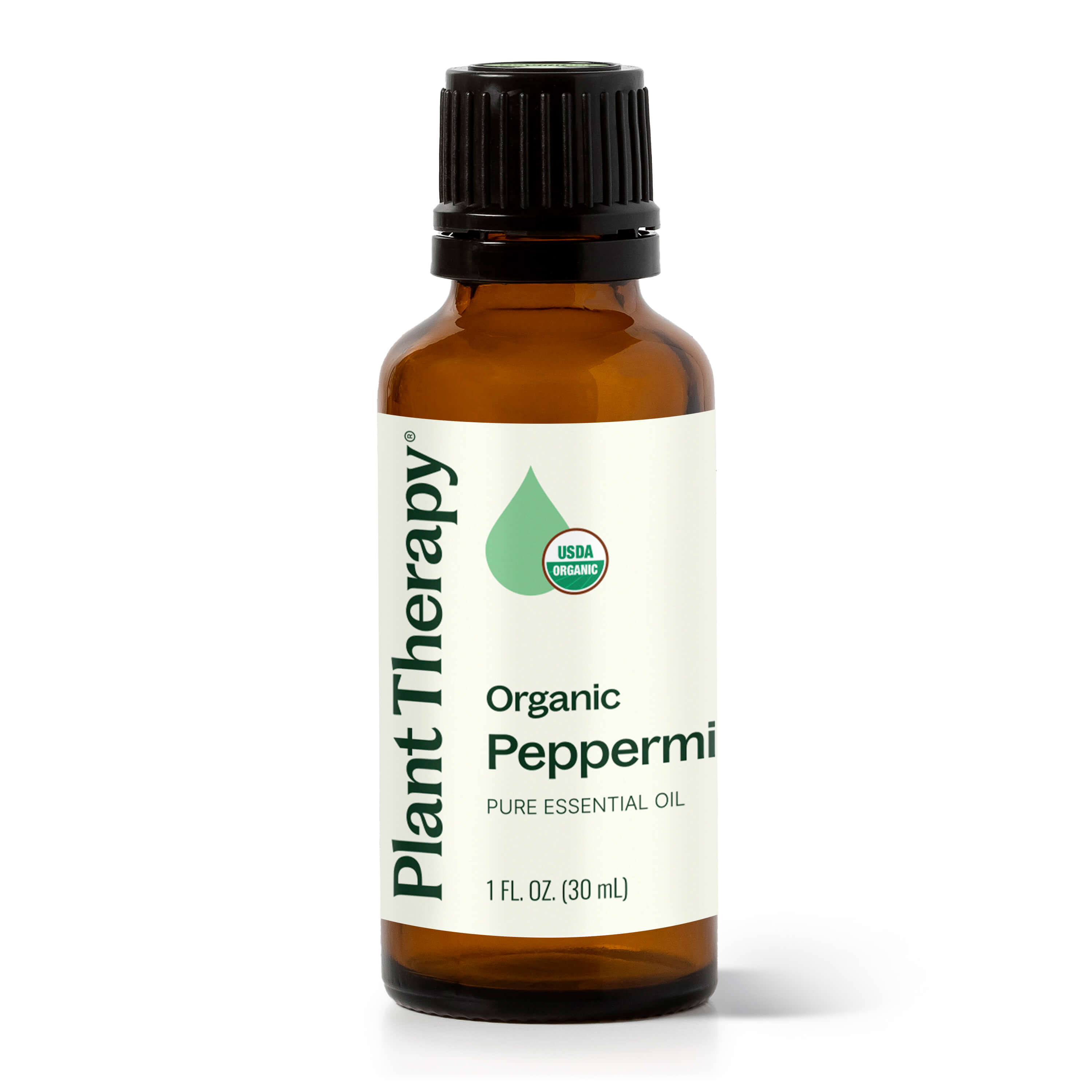 Bottle of Plant Therapy White Camphor essential oil on a white background