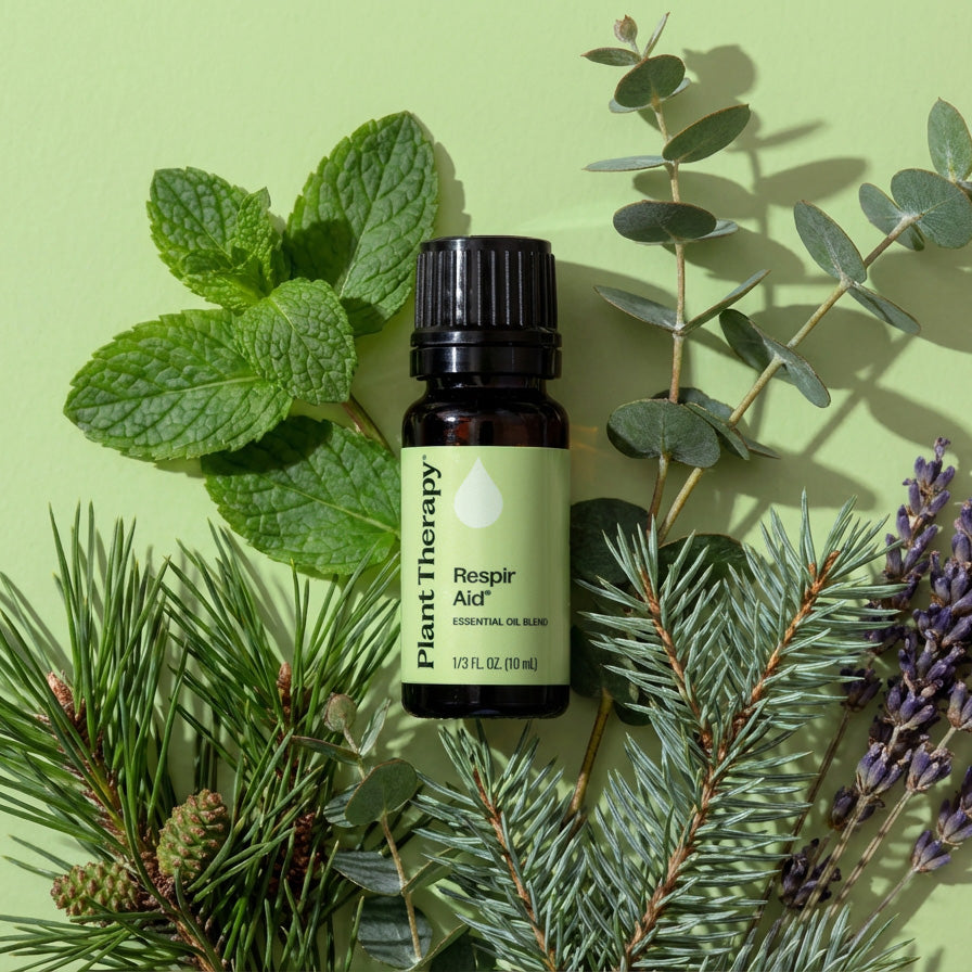 Essential oil bottle labeled 'Respir Aid' surrounded by green leaves and lavender on a green background